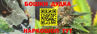 spice Кинель